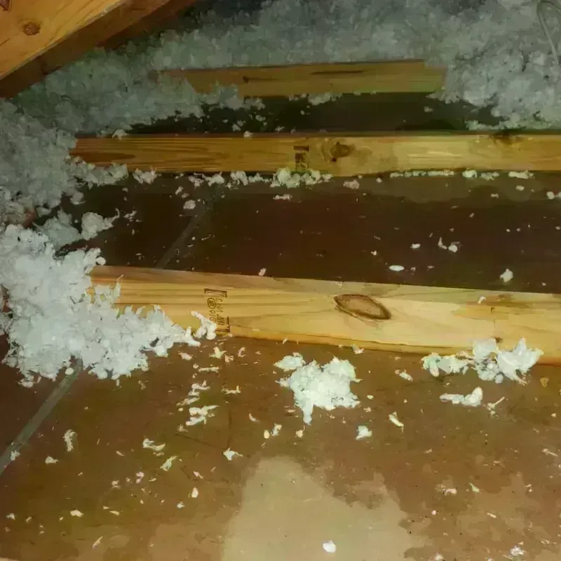 Attic Water Damage in Farmville, NC