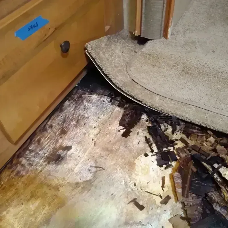 Wood Floor Water Damage in Farmville, NC